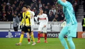 11.12.24 VfB Stuttgart - Young Boys Bern