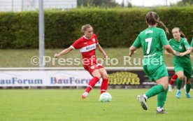 08.09.24 Frauen VfL Herrenberg - VfB Stuttgart