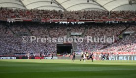 31.08.24 VfB Stuttgart - 1. FSV Mainz 05