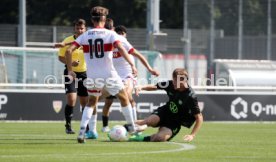 31.08.24 U19 VfB Stuttgart - U19 VfL Wolfsburg