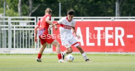 03.08.23 U19 1. FC Heidenheim - U19 VfB Stuttgart