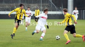 11.12.24 U19 VfB Stuttgart - U19 Young Boys Bern