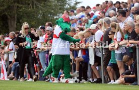 07.07.24 FSV Hollenbach - VfB Stuttgart