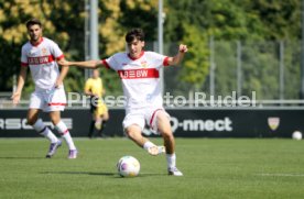 31.08.24 U19 VfB Stuttgart - U19 VfL Wolfsburg