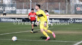 03.03.24 VfB Stuttgart II - TSG Balingen