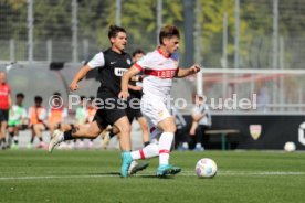 21.09.24 U19 VfB Stuttgart - U19 SV Elversberg