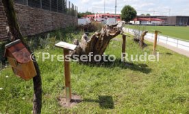 18.07.24 VfB Stuttgart Vorstellung Biodiversitäts-Lehrpfad