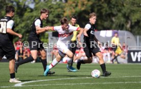 21.09.24 U19 VfB Stuttgart - U19 SV Elversberg