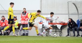 11.12.24 U19 VfB Stuttgart - U19 Young Boys Bern