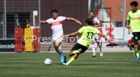 24.08.24 U19 VfB Stuttgart - U19 Stuttgarter Kickers